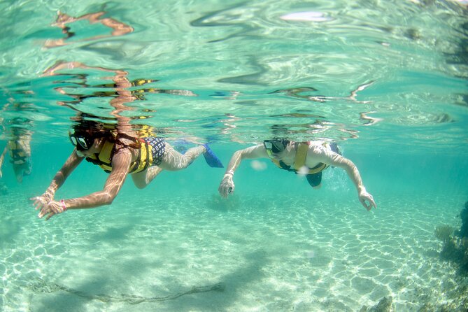3-in-1 Puerto Morelos: Snorkeling, Tequila & Beachside Lunch - Transportation quality: how to handle bumps without wrecking the day