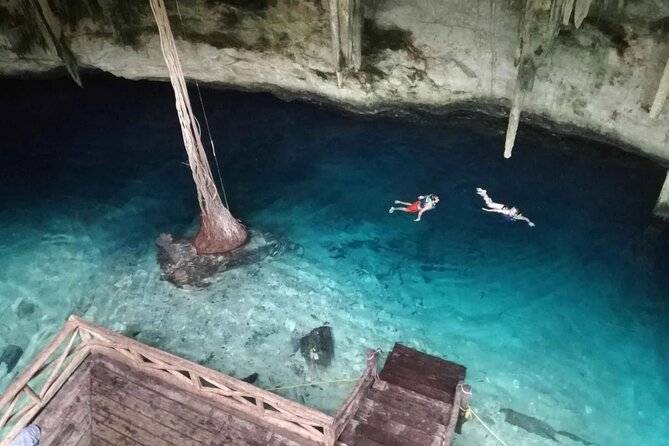 4 Cenotes Full Day Tour from Merida - Cenote Santa Rosa: Fish, Plants, and That Hidden-World Feeling