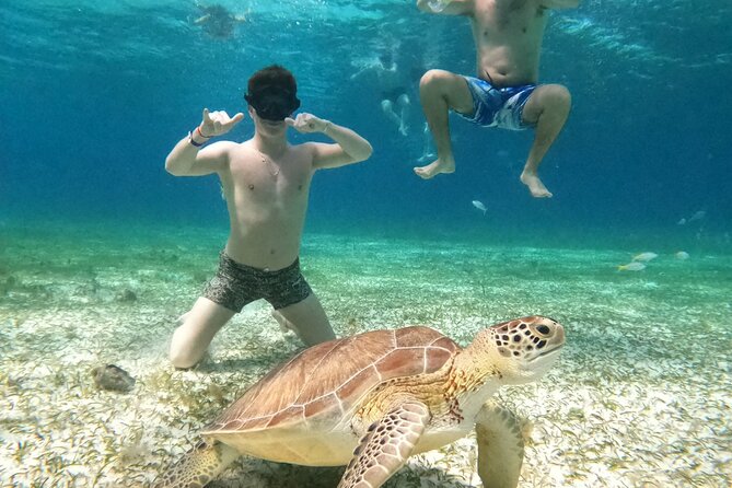 4 Hour Cozumel Turtle Sanctuary Experience on a Luxury Catamarán - Reef stop: the green turtle sanctuary moment