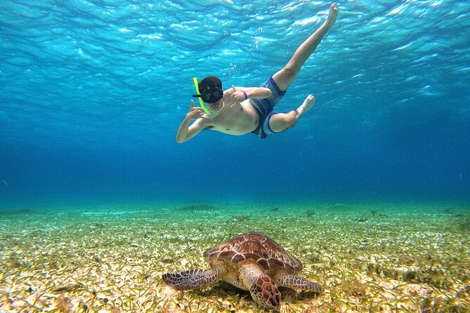 4 Hour Cozumel Turtle Sanctuary Experience on a Luxury Catamarán - El Cielo starfish sanctuary: red and orange on white sand
