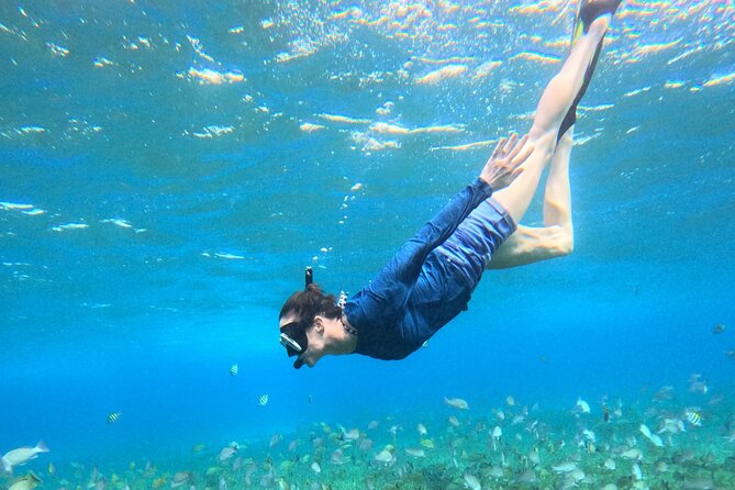 4 Hour Cozumel Turtle Sanctuary Experience on a Luxury Catamarán - Cielito (Little Heaven): snacks, shallow water, and a different vibe