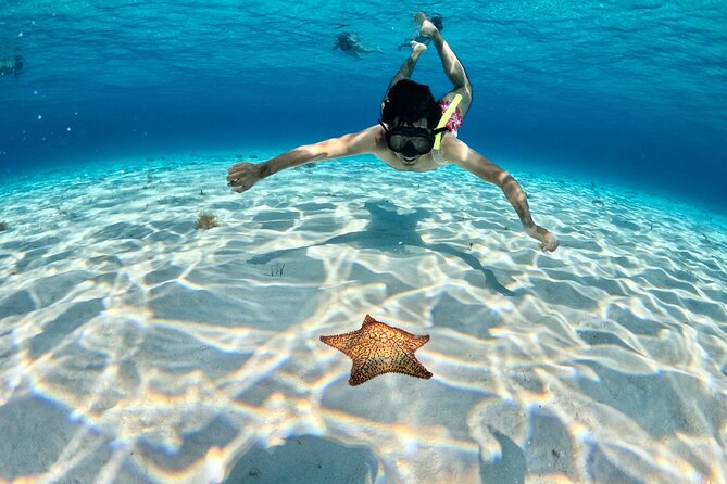 4 Hour Cozumel Turtle Sanctuary Experience on a Luxury Catamarán - Snorkeling gear and how the crew keeps it smooth