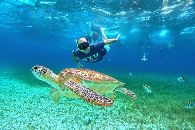 4 Hour Cozumel Turtle Sanctuary Experience on a Luxury Catamarán - What the 4-hour flow actually feels like