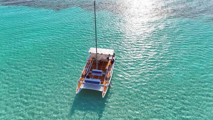 4 Hour Turtle Sanctuary Experience on a Luxury Catamarán - Luxury Catamaran Comfort on a 4-Hour Cozumel Day