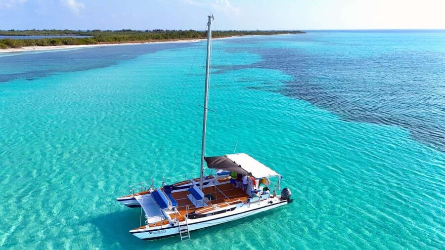 4 Hour Turtle Sanctuary Experience on a Luxury Catamarán - Snorkeling the Green Turtle Sanctuary: Calm Water, Real Wildlife Timing