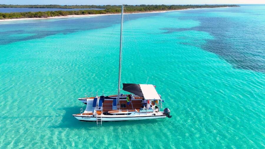 4 Hour Turtle Sanctuary Experience on a Luxury Catamarán - Cielito Little Heaven: Snacks, Drinks, and a Sunset-Ready Sandbank