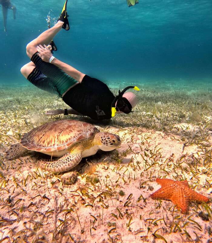 4 Hour Turtle Sanctuary Experience on a Luxury Catamarán - What You Pay and What You Actually Get for $78
