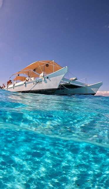 4 Hour Turtle Sanctuary Experience on a Luxury Catamarán - Should You Book This Turtle Sanctuary and El Cielo Tour?