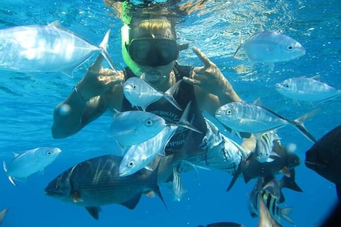 4 hours of shared snorkeling to El Cielo - Playa El Cielo: marine stars, white sand, and shallow-water calm