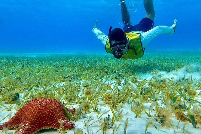 4 hours of shared snorkeling to El Cielo - El Cielito sandbar: snacks, drinks, and a different kind of fun