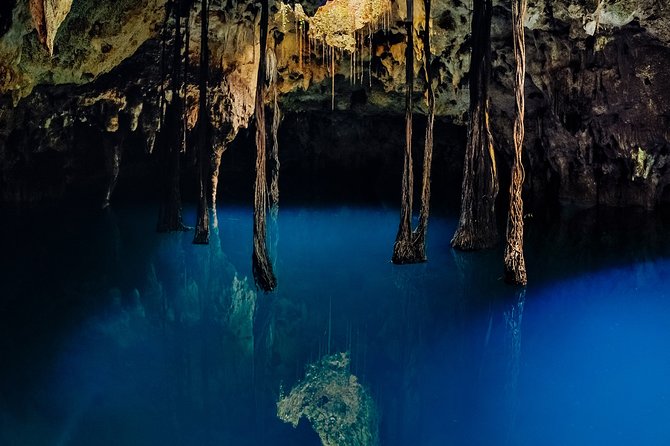 4-in-1 Cenote Tour Guided Experience with Breakfast, Lunch & Wine - Lu’um (Earth) Cenote: Rappelling Into a Semi-Open Cave