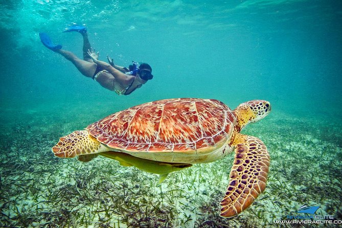 4H Private 38'Catamaran All-Inclusive in Tulum & Playa del Carmen - Who this tour fits best in Tulum and Playa del Carmen