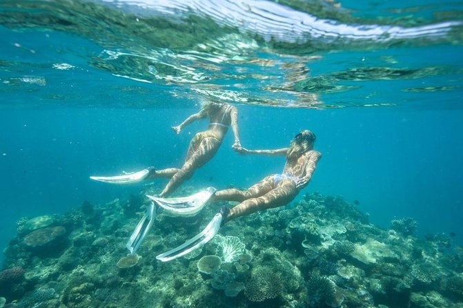5-in-1 Adventure in Cancun: ATVs, Ziplines, Speed Boat, Snorkel and Cenote Swim - Lunch strategy: included food, plus why the timing can catch you