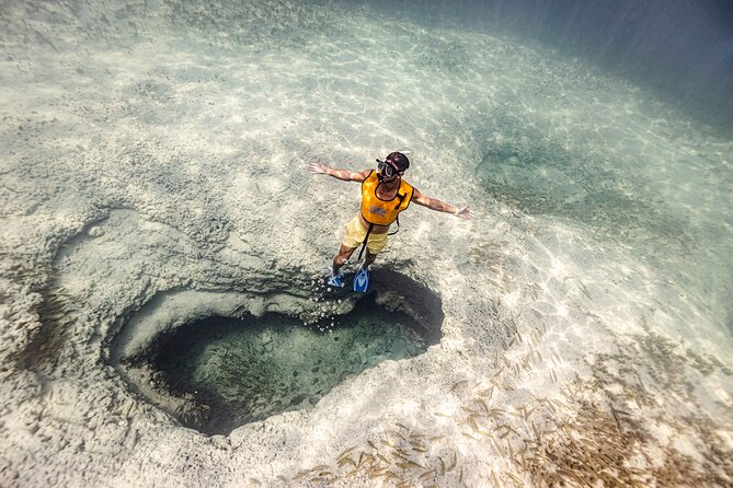 5-in-1 Cancun Snorkeling Tour with Sea Life & Transport Included - Key things you will notice on this Cancun snorkeling tour