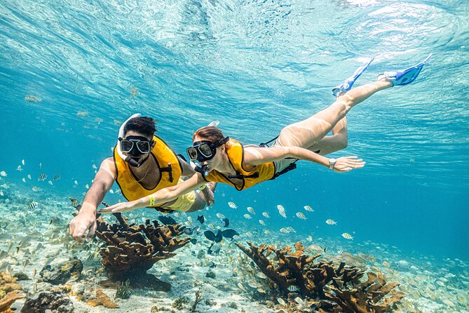5-in-1 Cancun Snorkeling Tour with Sea Life & Transport Included - Stop 2: underwater art galleries with statues, Blessings and Vestiges