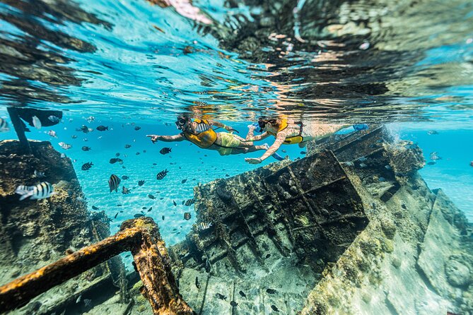 5-in-1 Cancun Snorkeling Tour with Sea Life & Transport Included - Stop 3: turtle and ray time with high sighting odds