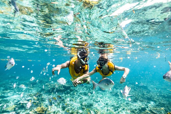 5-in-1 Cancun Snorkeling Tour with Sea Life & Transport Included - Stop 5: an underwater cenote formation to wrap the tour