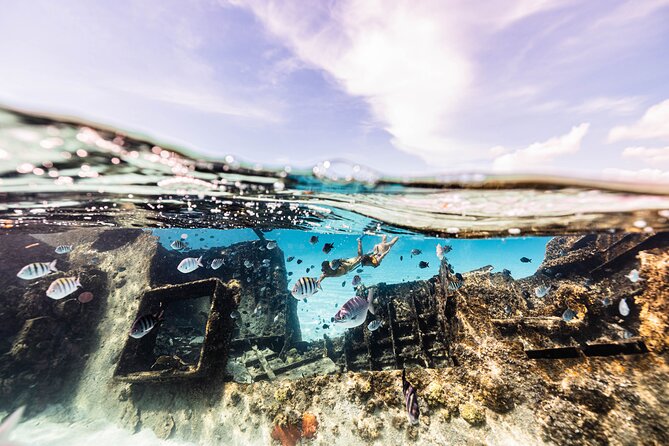 5-in-1 Cancun Snorkeling Tour with Sea Life & Transport Included - Price and logistics: what $79 really covers, plus one extra fee