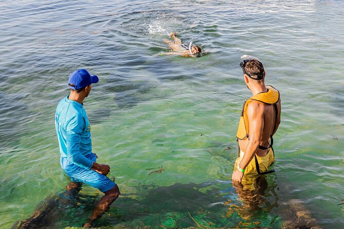5-in-1 Cancun Snorkeling: Turtles, Reef, Musa, Shipwreck, Cenote - Shipwreck exploring: why this stop tends to feel memorable