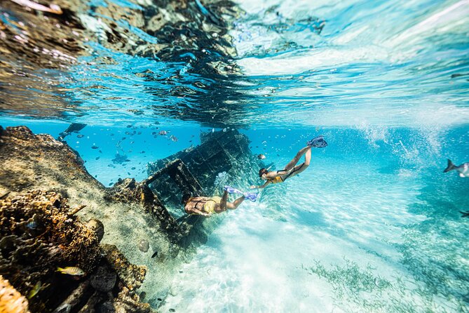 5-in-1 Cancun Snorkeling: Turtles, Reef, Musa, Shipwreck, Cenote - Small group size and guide control: safety that also improves the fun