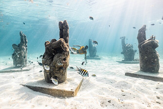 5-in-1 Cancun Snorkeling: Turtles, Reef, Musa, Shipwreck, Cenote - Price and what you truly get: $79 worth it, plus the $20 dock fee
