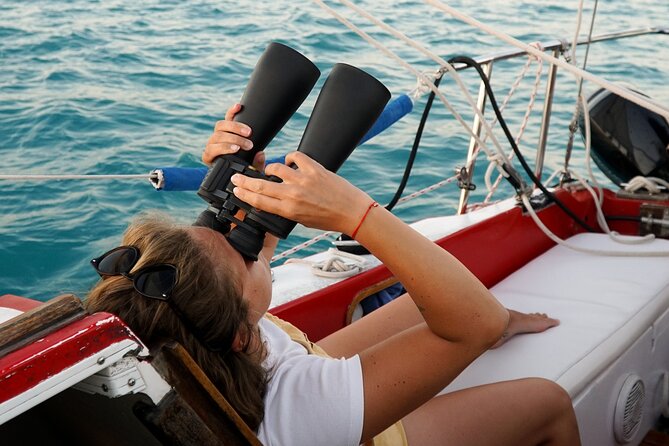 6hrs of Sailing in Bacalar Lagoon: discover Cenotes, Islands and Stromatolites. - Key things to know before you go