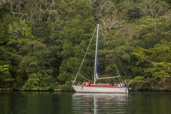 6hrs of Sailing in Bacalar Lagoon: discover Cenotes, Islands and Stromatolites. - Stromatolites: the slow-living feature worth taking seriously