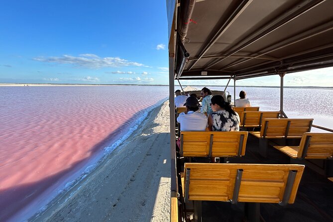 Admission Ticket to Safari in the Pink Lagoons of Las Coloradas - Entering Las Coloradas Parque Turístico, where wetlands lead the way