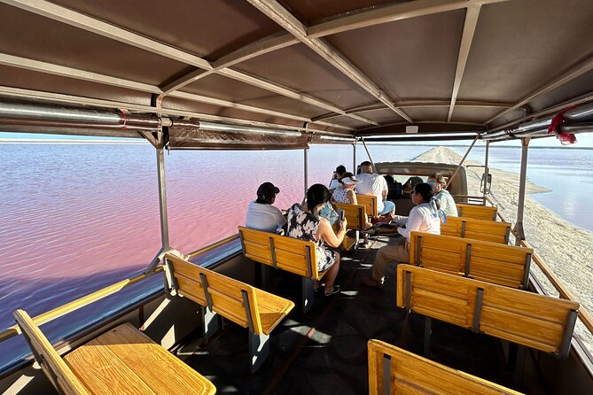 Admission Ticket to Safari in the Pink Lagoons of Las Coloradas - Pink lagoon viewing at Las Coloradas, plus the flamingo-photo factor