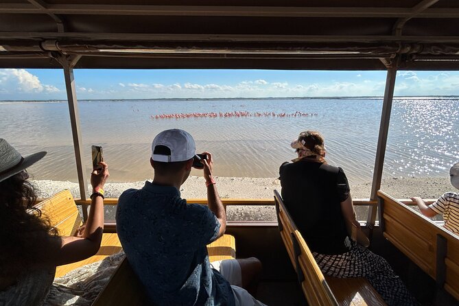 Admission Ticket to Safari in the Pink Lagoons of Las Coloradas - What the 2-hour schedule feels like (and what it doesn’t)