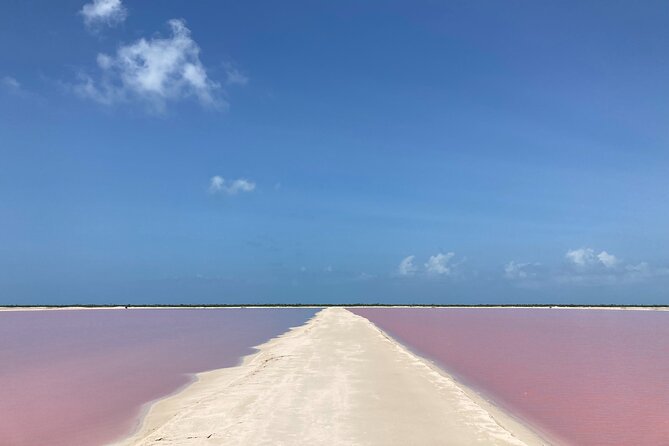 Admission Ticket to Safari in the Pink Lagoons of Las Coloradas - Booking and planning essentials: mobile ticket, English, and weather