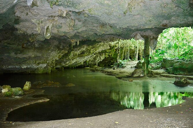 Adventure in ATV, Cenote swimming, snack & transportation - Pickup from Playa del Carmen, shared minivan timing, and how to plan your day