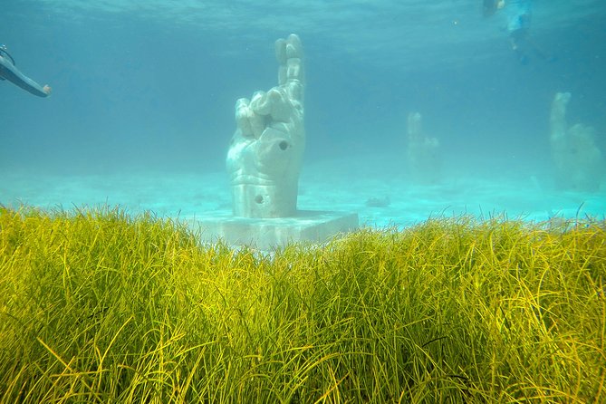 Afternoon Half-Day Catmaran Sailing and Snorkel Adventure - Who this tour fits best (and who should choose something else)