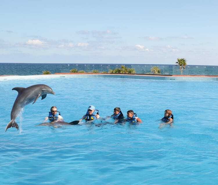 Akumal: Dolphin Encounter - What photos cost you, since cameras are not allowed