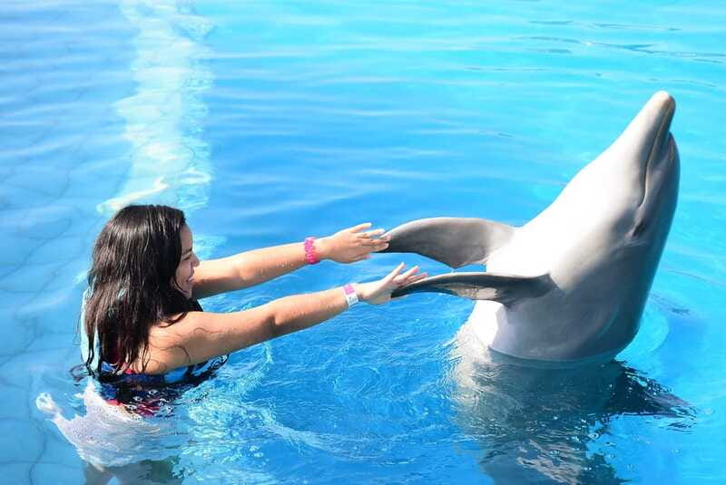 Akumal: Dolphin Encounter - Is $99 per person good value for a dolphin encounter?