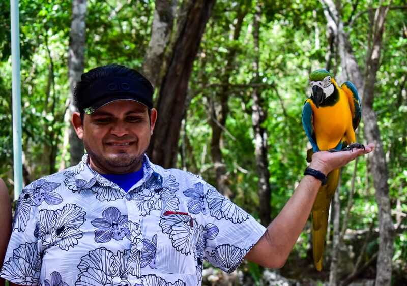 Akumal: Explore the Monkey Sanctuary, ATV Circuit and Cenote - Key highlights worth planning for