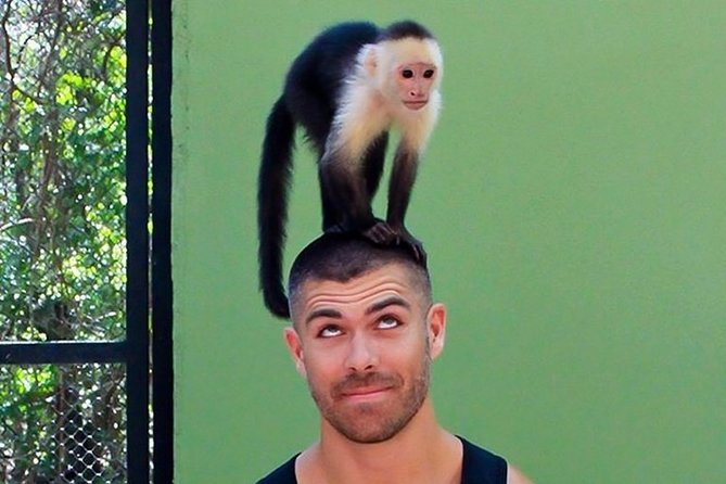 Akumal Monkey Sanctuary - Price and Value: Is $95 Really a Good Deal?