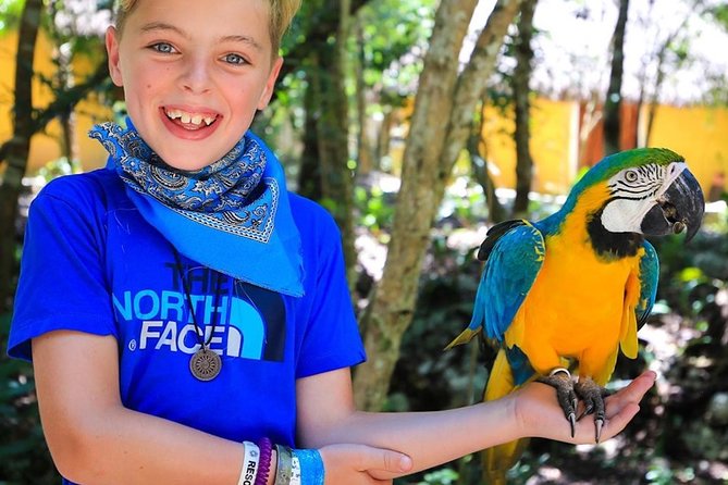 Akumal Monkey Sanctuary - Hotel Pickup and Getting There Without Stress