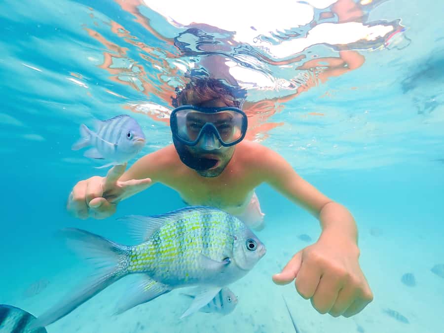 Akumal: Swim with Turtles in a Natural Paradise - Snorkeling With Sea Turtles: What You’ll Experience in the Water