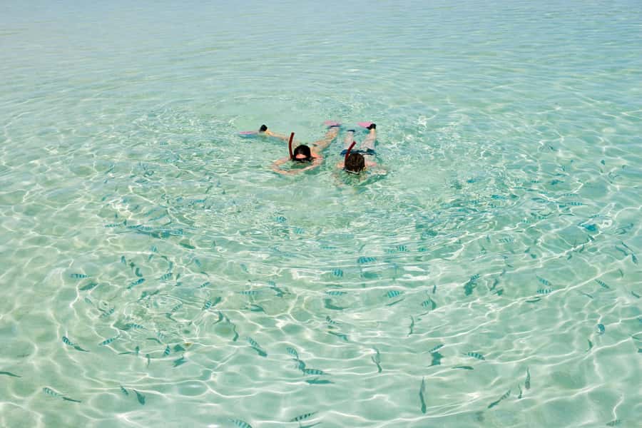 Akumal: Swim with Turtles in a Natural Paradise - What Equipment and Facilities You Get (and What You Bring)