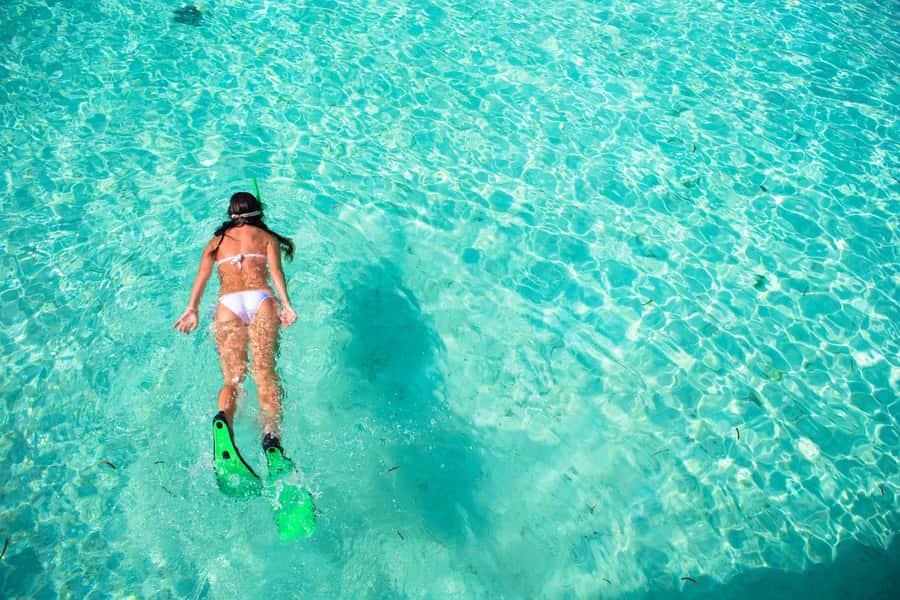 Akumal: Swim with Turtles in a Natural Paradise - Price and Value: Is $54 Worth It?