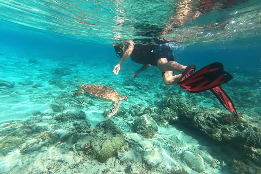 Akumal: Swim with Turtles in a Natural Paradise - Before You Go: Simple Tips That Match This Tour