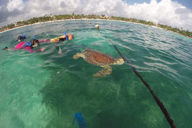 Akumal turtles sanctuary and go pro photos - The GoPro photo shoot: included, and actually useful