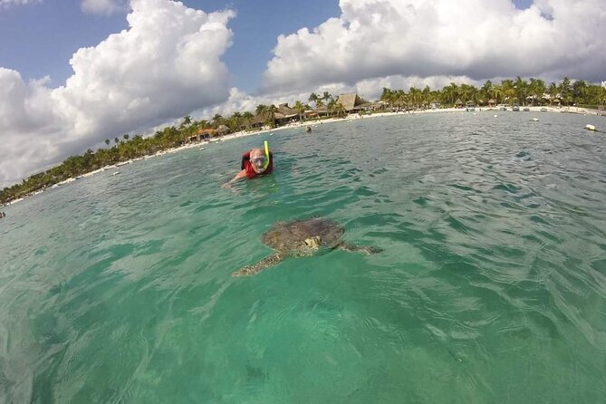 Akumal turtles sanctuary and go pro photos - What else you might see besides turtles