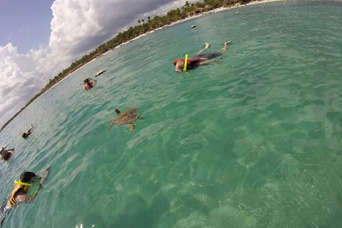 Akumal turtles sanctuary and go pro photos - After the water: hang at the beach if you want
