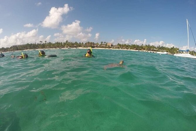 Akumal turtles sanctuary and go pro photos - Price and logistics: where the real value shows up
