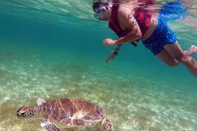 Akumal Turtles Snorkeling and GoPro pictures - The Part People Feel in Their Legs: Currents, Boats, and Open Water