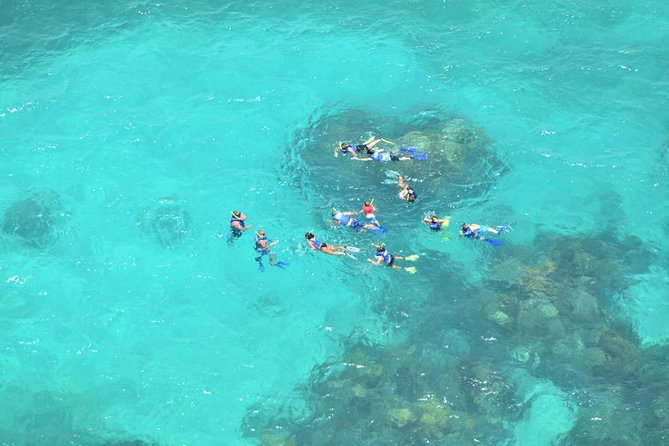 All Inclusive Caribbean adventure, reef snorkeling, Food & Drinks - Beach club lunch in Isla Mujeres: where the day calms down