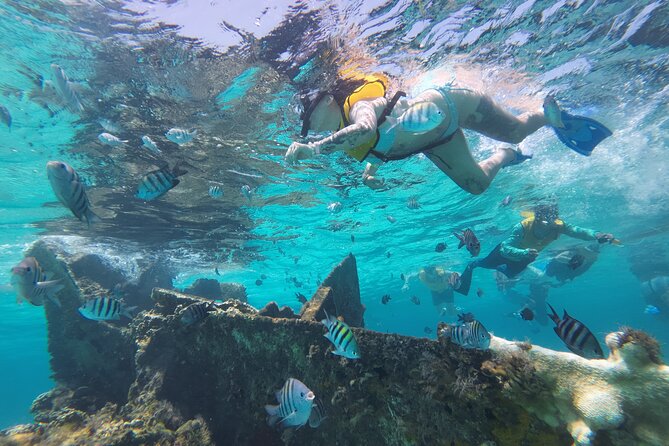 All-Inclusive Isla Mujeres Catamaran with Free Transportation - Stop 3, El Meco Reef snorkeling: what you get in 50 minutes
