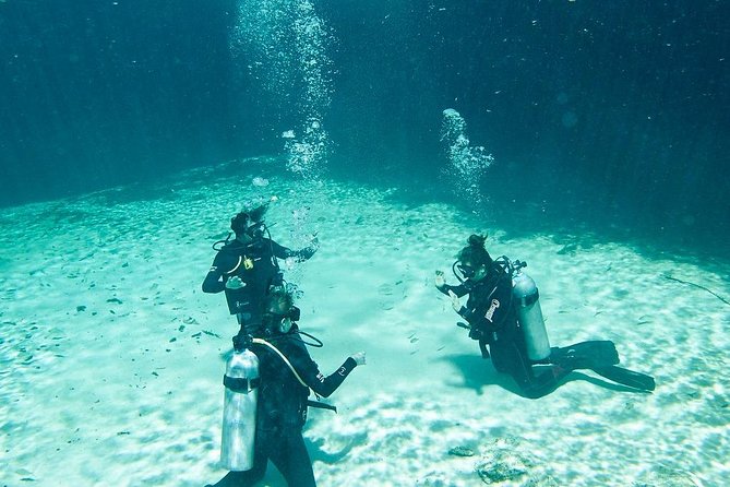 Amazing beginner dive in Tulum cenote (or refresher dive) - First things first: what you’re signing up for
